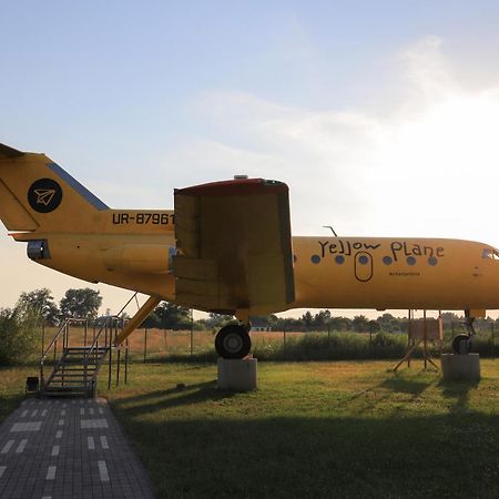 Yellow Plane Yurov المظهر الخارجي الصورة